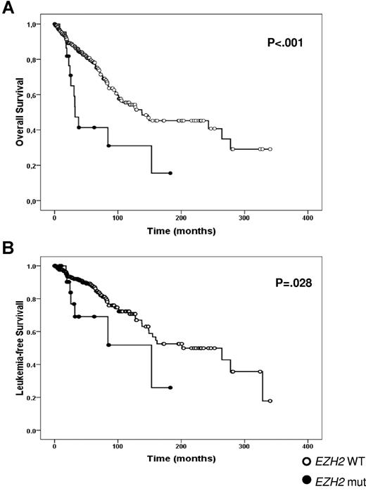 Figure 2. OS (A) and LFS (B) measured from disease diagnosis to leukemia transformation in EZH2-mutated and wild-type patients with PMF.