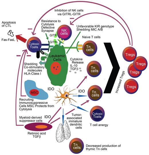 Figure 1. AML leukemic cells can inhibit immune effector cells by contact-dependent or -independent means. Shedding of costimulatory molecules, increased levels of suppressive cytokines, and increased IDO expression are some of the mechanisms by which leukemia cells evade from immune surveillance.