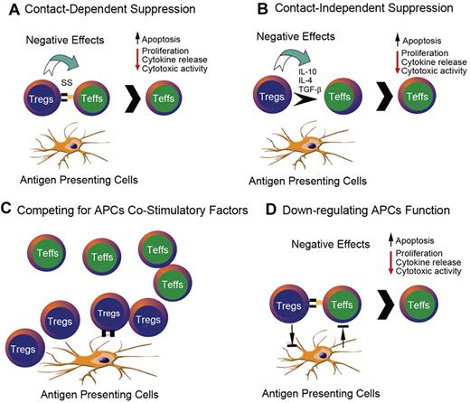 Figure 2. Some of the mechanisms by which CD25+CD4+ Tregs suppress the activation and proliferation of other T cells. The inhibition between these 2 T-cell subtypes occurs as either contact-dependent (suppressor synapse) or -independent manners. APCs play an important role in this interaction. (A) Tregs can suppress the functions of Teffs via direct contact. (B) Tregs can suppress the functions of Teffs via releasing inhibitory cytokines. (C) Tregs can complete with Teffs for the costimulatory signals of APCs. (D) Tregs can suppress APCs and thus prevent the stimulation of Teffs by APCs.