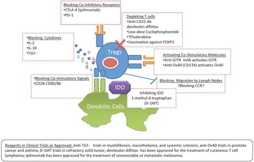 Figure 3. There are various potential ways by which the frequencies or suppressive functions of Tregs can be down-regulated. Depletion of Tregs with anti-CD25 agents has been the most common approach.