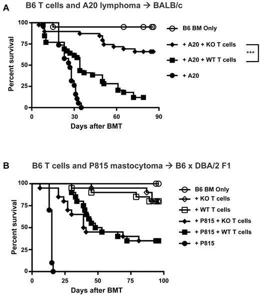 Figure 3. IL-21 signaling is not required for GVL against hematopoietic malignancy. (A) Lethally irradiated BALB/c mice were transplanted with either B6 BM-TCD alone or with A20 tumor cells (2.5-5 × 105) with or without WT versus IL-21R KO T cells (0.5-1 × 106). Recipients were followed for mortality, and curves represent combined data from 4 independent experiments (n = 19-20 for non–T-cell groups, n = 39 for T-cell groups). (B) Lethally irradiated B6 × DBA/2 F1 mice were transplanted with either B6 BM-TCD alone or with P815 tumor cells (1 × 103) with or without WT versus IL-21R KO T cells (1 × 106). Recipients were followed for mortality, and curves represent combined data from 2 independent experiments (n = 10 for non–T-cell groups, n = 20 for T-cell groups). ***P < .001 for WT versus KO T cells.