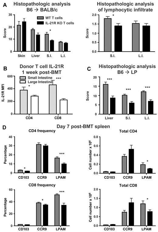 Figure 4. IL-21R KO T cells have decreased intestinal infiltration and LPAM expression after BMT. (A) Lethally irradiated BALB/c mice were transplanted with B6 BM-TCD and WT or IL-21R KO T cells (1 × 106). Skin, liver, small intestine (S.I.) and large intestine (L.I.) were harvested 3 weeks after BMT. H&E-stained slides were scored for histopathologic damage and lymphocyte infiltration. Shown is the mean of each group from 2 combined independent experiments (n > 12). (B) Lethally irradiated BALB/c mice were transplanted with B6 BM-TCD and WT B6 T cells (1 × 106). Lamina propria lymphocytes from small and large intestines were isolated 1 week after BMT and stained for IL-21R expression on donor T cells. Shown are combined data from 2 independent experiments with 7 total recipients per group. (C) Lethally irradiated LP mice were transplanted with B6 BM-TCD and WT or IL-21R KO B6 T cells (1 × 106). Liver, small intestine, and large intestine were harvested 3 weeks after BMT, and H&E-stained slides were scored for histopathologic damage. Shown are combined data from 2 independent experiments with 17 total recipients per group. (D) Lethally irradiated BALB/c mice were transplanted with B6 BM-TCD and WT or IL-21R KO T cells (1 × 106). Splenocytes were harvested 1 week after BMT and stained for FACS analysis of donor T-cell CD103, CCR9, and LPAM. Shown are combined data from 4 to 5 independent experiments with 20-25 total recipients per group. *P < .05 and ***P < .001 for WT versus KO T cells (A,C,D) or WT T cells in small versus large intestine (B).