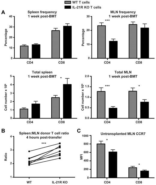 Figure 5. IL-21R KO T cells are decreased in MLNs after BMT. (A) Lethally irradiated BALB/c mice were transplanted with B6 BM-TCD and WT or IL-21R KO T cells (1 × 106). Spleens and MLNs were harvested 1 week after BMT and stained for FACS analysis of donor CD4 and CD8 T cells. Shown are combined data from 4 independent experiments with 20 total recipients per group. (B) CD45.1 B6 and IL-21R KO (CD45.2) T cells were cotransferred into lethally irradiated BALB/c recipients. Spleens and MLNs were harvested 4 hours after transfer and stained for FACS analysis of donor T cells. The ratio of spleen to MLN donor T cells was calculated, and connecting lines indicate WT (CD45.1) and KO (CD45.2) donor T cells isolated from individual recipients. Shown is 1 of 3 independent experiments. (C) Freshly isolated MLNs were harvested from untransplanted WT or CD45.1 B6 and IL-21R KO B6 mice and stained for FACS analysis of T-cell CCR7. Shown are combined results of 4 independent experiments with a total of 14 mice per group. *P < .05 and ***P < .001 for WT versus KO T cells.