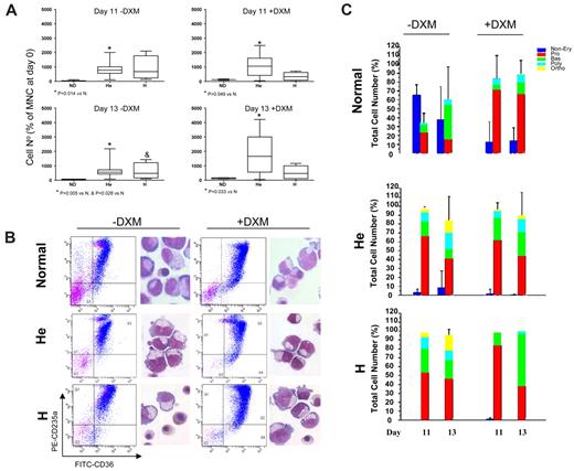 Figure 1. Dexamethasone increases the numbers of EBs generated in cultures of NDs but not of PV patients. Numbers (at days 11 and 13; A) and representative maturation profiles and morphology (at day 13; B) of EBs generated in liquid cultures stimulated with growth factors with or without dexamethasone (DXM) by MNCs from NDs8 or from PV patients homozygous (H; n = 3) or heterozygous (He; n = 13) for the JAK2V617F mutation. Magnification ×40. Forward-scatter/side-scatter analyses and propidium iodide staining were comparable (∼ 10%-15% propidium iodide–positive cells) in all cultures analyzed and are not shown. P values are provided when differences between ND and PV were statistically significant. Statistical analyses of the FACS profiles are presented in Table 2. Differential counts of cultured cells (by morphology) are presented in panel C. The different populations are color coded: blue for non-EBs; red for Pro-EBs; and green, blue, and yellow for basophilic (Bas), polychromatic (Poly), and orthochromatic (Ortho) EBs, respectively.