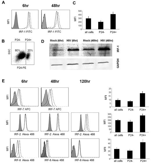 Figure 2. IRF protein expression after exposure to HIV. Day 6 MDDCs were treated with HIV-1BaL (MOI, 3) or mock-treated for 6-120 hours. (A) IRF-1 intracellular expression levels were determined by flow cytometry; the isotype control is shown as filled curve, mock-treated cells are shown with a solid line and HIV-1–treated cells are shown with a broken line. (B) The percentage of HIV-1–infected cells was determined by flow cytometry with the use of a PE-conjugated p24 antibody and (C) peak IRF-1 expression was determined in p24− cells and p24+ cells separately (means of 5 experiments shown with standard error bars). (D) IRF-1 expression was also determined by Western blot. (E) Panels A to C were repeated for IRF2, IRF-7, and IRF-8. Representative data are shown from 1 of 3 experiments.