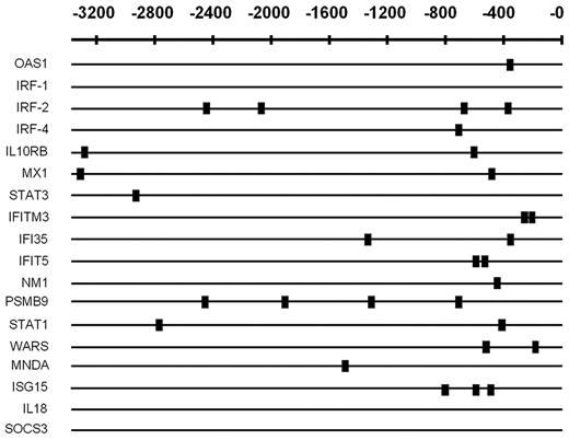 Figure 3. In silico promoter analysis of identified up-regulated IFN-associated genes in MDDCs. RefSeq IDs and promoters were extracted with the use of the UCSC genome browser (www.genome.ucsc.edu) and sequences 3000 bp 5′ upstream from the transcription start site, plus the 5′ untranslated region were extracted. Transfac database28 was then used to obtain vertebrate TFBS matrices, and the Toucan2 tool MotifScanner was used to detect potential TFBSs in the sets of selected sequences. The prior (stringency level) was set to a value of 0.05. A small box indicates the location of identified potential IRF-1 binding sites.