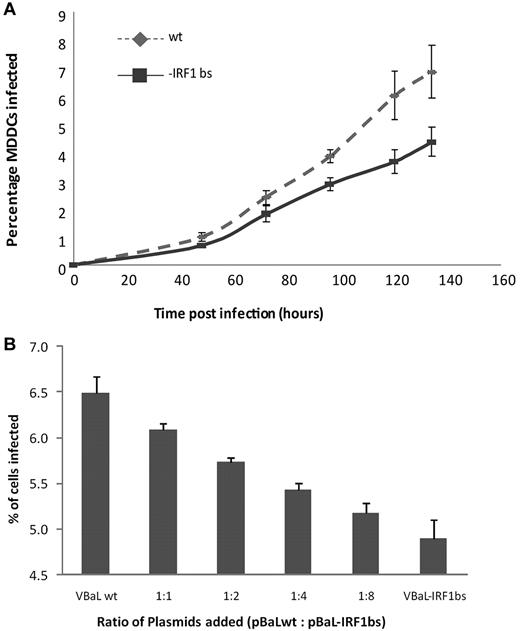 Figure 5. Deletion of the IRF-1/7 binding site (IRF-1 bs) from the HIV-1 LTR results in reduced infectivity. Day 2 MDDCs were treated with VSVG-pseudotyped HIV-1BaL-IRF-1 bs or HIV-1BaLwt at an MOI of 1 for 6-134 hours either alone in combination at various ratios. (A) The percentage of HIV-1–infected cells was determined by flow cytometry between 48 and 134 hours after infection. The mean data from 3 independent experiments are shown with standard error bars. There was a statistically significant difference between the rates of increase of the percentage of infected cells over time for HIV-1BaLwt versus HIV-1BaL-IRF-1 bs (P = .021 linear mixed-effects model). The mean difference in these infection rates was 0.028% per hour. (B) The greater the ratio of wild-type compared with mutant plasmid transfected, the greater the proportion of cells infected at 48 hours after infection. The mean data from 3 independent experiments are shown with standard error bars.