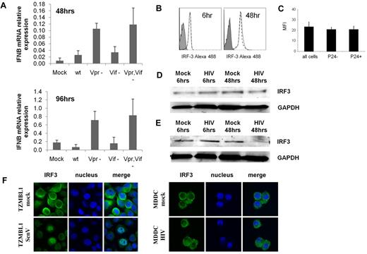 Figure 6. IFN induction in MDDCs by HIV viruses with Vpr but not Vif deleted from their genome. (A) Day 2 MDDCs were treated with VSVG-pseudotyped HIV-1NLAD8ΔVpr, HIV-1NLAD8ΔVif, HIV-1NLAD8ΔVpr,Vif, or HIV-1NLAD8 at an MOI of 1 for 48 and 96 hours. (A) IFNβ mRNA expression was determined by qPCR. The mean data from 3 independent donors are shown with standard error bars. (B-D) Day 6 MDDCs were treated with HIV-1BaL or mock-treated for 24 and 48 hours. (B) IRF-3 intracellular expression levels were determined by flow cytometry; the isotype control is shown as filled curve, mock treated cells are shown with a solid line, and HIV-1–treated cells are shown with a broken line. (C) The percentage of HIV-1–infected cells was determined by flow cytometry with the use of a PE-conjugated p24 antibody, and IRF-3 expression was determined in p24− cells and p24+ cells separately (mean of 5 experiments shown with standard error bars). (D-E) IRF-3 expression in response to HIV-1BaL was also determined by Western blot in both MDDCs (D) and SupT1 cells (E). (F) IRF3 cellular localization was determined by confocal microscopy in mock- and HIV-1–treated cells compared with Sendai virus–treated TZM-bl cells.