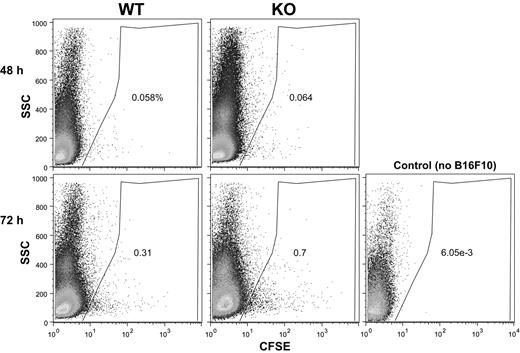 Figure 3. B16F10 cells in blood. B16F10 cells labeled with CFSE were injected into mouse tail veins. After 48-72 hours, blood samples were collected directly from the heart and the percentage of CFSE-labeled cells was determined by flow cytometry. Note that blood from a control mouse (no B16F10 injection) contained essentially no CFSE-labeled cells. SSC indicates side scatter; WT, wild-type; KO, knockout.