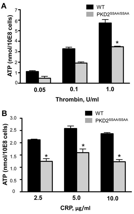 Figure 3. PKD2 regulates secretion of dense granules in response to CRP and thrombin in platelets. Washed platelets from WT and PKD2SSAA/SSAA mice were stimulated with various concentrations of CRP (A) or thrombin (B) as indicated, and secretion of ATP was assessed by luminometry. Error bars represent SEM, n = 3-6; *P < .05