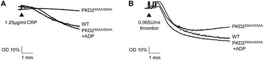 Figure 5. Deficient aggregation responses in platelets from PKD2SSAA/SSAA mice are rescued by exogenously added ADP. Washed platelets from WT and PKD2SSAA/SSAA mice were stimulated with CRP (1.25 μg/mL; A) or thrombin (0.065 units/mL; B) with or without the simultaneous addition of ADP (10μM), and aggregation was assessed turbidimetrically. Aggregation traces are representative of 6 independent experiments with similar results.