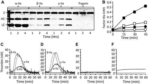 Figure 4. FXI activation by thrombin. (A) Western blot of FXI-Ala557 (100nM) incubated with 25nM α-IIa, β-IIa, or γ-IIa, or 0.1nM bovine trypsin. FXI was detected with a polyclonal anti–human FXI antibody. Incubation times in hours are indicated below the blot. The position of the zymogen FXI band (Z) and the heavy chain (HC) and light chain (LC) of FXIa are shown to the left of the gel. (B) FXI-WT (100nM) was incubated with 25nM α-IIa (■), β-IIa (□), γ-IIa (●), or vehicle (○) at 37°C. FXIa generation was determine with a chromogenic substrate assay on aliquots at various time points as described in “Activation of FXI by thrombin.” (C-F) Thrombin generation assays were run as described in “Thrombin generation assay.” (C) Thrombin generation initiated by 10nM α-IIa, β-IIa, or γ-IIa in FXII-deficient plasma #1. (D) Same as in panel C, but with FXII-deficient plasma #2. (E) Same as in panel C with the addition of 300nM IgG O1A6 to block FIX activation by FXIa. (F) FXII-deficient plasma #1 using 10nM trypsin as the initiator. The signal here is probably background from trypsin cleavage of the fluorogenic substrate.