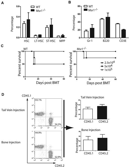 Figure 5. Msr1 deletion does not affect the function of normal HSCs. (A) Bone marrow cells from WT and Msr1−/− mice were analyzed by FACS for the percentages of total HSCs (Lin−c-Kit+Sca-1+), LT-HSCs (Lin−c-Kit+Sca-1+CD34−), ST-HSCs (Lin−c-Kit+Sca-1+CD34+Flt3−) and MPPs (Lin−c-Kit+Sca-1+CD34+Flt3+). (B) Cells from bone marrow and peripheral blood of WT and Msr1−/− mice were analyzed by FACS for the percentages of Gr-1+, B220+ and CD3E+cells. (C) 3 doses (1 × 105, 5 × 104 and 2.5 × 104) of WT or Msr1−/− bone marrow cells were injected into lethally irradiated recipient mice. Survival curves showed that there was only a minor engraftment defect of bone marrow cells in Msr1−/− mice. (D) Msr1−/− (CD45.2) and WT (CD45.1) bone marrow cells were 1:1 mixed and then transferred into recipient mice (n = 5). 12 weeks after transplantation, FACS analysis showed the percentages of WT and Msr1−/− cells in peripheral blood of recipient mice.