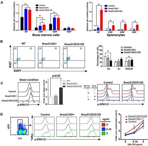 Figure 3. Oncogenic Nras signaling engages myeloid progenitors into cell cycle and leads to their expansion in a dose-dependent manner. Different tissues were isolated and analyzed 2 days after pI-pC injections. (A) Quantitative analysis of myeloid progenitor (MP) compartment in bone marrow and spleen of control, Nras G12D/+, and Nras G12D/G12D mice. CMP indicates common myeloid progenitor; GMP, granulocyte-monocyte progenitor; and MEP, megakaryocyte-erythroid progenitor. Results are presented as averages + SDs. Student t test was performed: *P < .05, and **P < .01. (B) Cell cycle analysis of MPs in bone marrow of control, Nras G12D/+, and Nras G12D/G12D mice. Cell-cycle phases are defined as G0 (Ki67−, DAPIlo), G1 (Ki67+, DAPIlo), and S/G2/M (Ki67+, DAPIhi). The percentages of MPs in individual cell-cycle phases are indicated on the density plots. Average values + SDs are shown in the right graph. Student t test was performed: *P < .05. (C,D) Phospho-flow analysis of p-ERK1/2 in Lin−/low c-Kit+ bone marrow cells of control, Nras G12D/+, and Nras G12D/G12D mice 2 days after the second pI-pC injection. (C) Total bone marrow cells were freshly isolated and stimulated with or without 2ng/mL of GM-CSF at 37°C for 10 minutes. Basal condition is defined as without GM-CSF stimulation. U0126 was mixed with cells for 30 minutes before fixation or GM-CSF stimulation. Levels of p-ERK1/2 were measured using phospho-specific flow cytometry. Nonneutrophil Lin−/low c-Kit+ cells were gated for data analysis. Results obtained from one representative experiment are shown (left panel). Quantification of 6 independent experiments is shown as average values + SDs (middle panel). Solid lines indicate the median intensity of p-ERK1/2 in control cells without GM-CSF stimulation (right panels). (D) Total bone marrow cells were serum- and cytokine-starved for 1 hour and stimulated with various concentrations of GM-CSF (0, 0.16 and 2 ng/mL) at 37°C for 10 minutes. Gating strategy and plots of p-ERK1/2 are representative of 4 independent experiments. To quantify the activation of ERK1/2, median intensities of p-ERK1/2 at different GM-CSF concentrations in different animals are compared with control cells at 0 ng/mL, which is arbitrarily set at 1. Average values ± SDs are shown in the right graph. Student t test was performed: *P < .05.