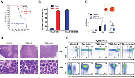 Figure 5. Oncogenic Nras initiates TALL in a dose-dependent manner. Lethally irradiated mice (CD45.1+) were transplanted with 2.5 × 105 total bone marrow cells of control, Nras G12D/+, or Nras G12D/G12D mice along with same number of competitor cells. (A) Kaplan-Meier survival curves of reconstituted mice. Cumulative survival was plotted against days after transplantation. (B) Disease distribution patterns in recipient mice transplanted with Nras G12D/+ or Nras G12D/G12D cells. (C) Hepatosplenomegaly and enlarged thymi in TALL-het and -homo mice. (Top) Enlarged thymus in a representative recipient mouse that developed a TALL disease. (Bottom) Results are presented as averages of spleen, liver, or thymus weights + SDs. Student t test was performed: *P < .001. (D) Representative histologic H&E sections of thymus from control, TALL-het, and TALL-homo mice. (E) Flow cytometric analysis of total thymocytes of representative control, TALL-het, and TALL-homo mice.