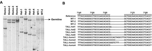 Figure 6. Oncogenic Nras-initiated TALL tumors contain clonal Notch1 mutations. (A) Southern blot analysis of genomic DNA obtained from TALL-het and TALL-homo tumors. The blot was hybridized with a probe to the Vβ region of T-cell receptor β. (B) Sequence analysis of the exon 34 of Notch1 in control, TALL-het, and TALL-homo thymocytes.