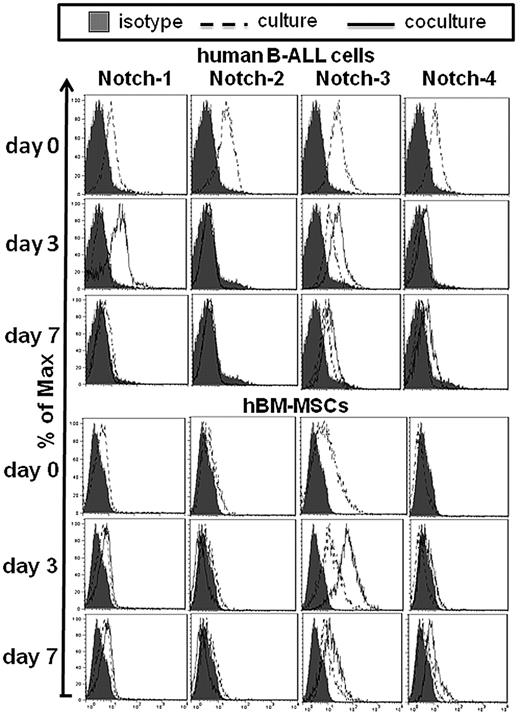 Figure 1. Some representative examples of flow cytometric measurements of Notch receptors expression by both B-ALL cells and hBM-MSCs. Representative cases of the expression of Notch receptors by both B-ALL cells and hBM-MSCs cultured alone and cocultured for 3 and 7 days, after electronic gating either on CD19+ B-ALL cells or CD45− hBM-MSCs in 2-color flow cytometric analysis. Filled histograms indicate the staining with control human IgG.