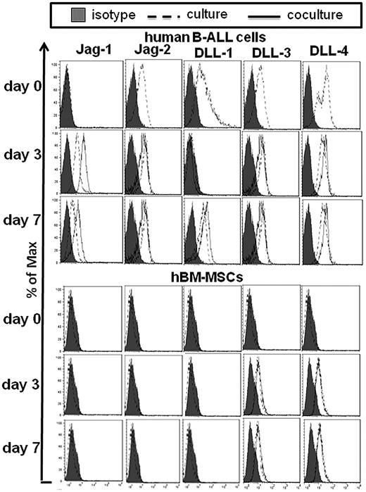 Figure 2. Some representative examples of flow cytometric measurements of Notch ligands expression by both B-ALL cells and hBM-MSCs. Representative cases of the expression of Notch ligands by both B-ALL cells and hBM-MSCs cultured alone and cocultured for 3 and 7 days, after electronic gating on either CD19+ B-ALL cells or CD45− hBM-MSCs in 2-color flow cytometric analysis. Filled histograms indicate the staining with control human IgG. DLL indicates Delta-like ligand; and Jag, Jagged ligand.