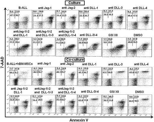 Figure 6. Examples of flow cytometric measurements showing the percentage of viable B-ALL cells cultured alone and cocultured with hBM-MSCs in absence or presence of neutralizing Notch ligands Abs and GSI XII. B-ALL cells were cultured alone or cocultured with hBM-MSCs (10:1 ratio) in absence or presence of anti–Jagged-1/-2 (Jag-1/-2), DLL-1/-3 and -4 Abs and GSI XII for 3 days. Percentage of viable B-ALL cells was measured by annexin V−/7-AAD− (bottom left quadrant) flow cytometry after electronic gating on CD19+ cells in 2-color flow cytometric analysis.
