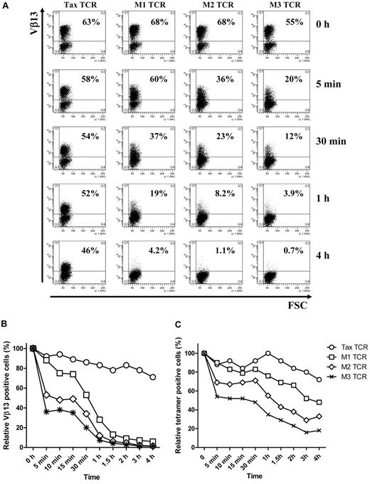 Figure 2. T cells transduced with affinity-matured TCR down-regulate TCR faster and to a greater level than T cells transduced with Tax-TCR. (A-B) Jurkat cells and (C) primary T cells transduced with the Tax TCR and the affinity-matured TCR were cocultured with T2 stimulator cells loaded with saturating concentration of Tax peptide (100μM) for the stated time periods. Jurkat cells were stained with anti-Vβ13 antibodies and primary T cells were stained with anti-CD8 antibodies and tetramer (the axis of the FACS plots range from 101 to 105). Shown is a representative of 4 independent Jurkat experiments showing similar results. Primary T cells were gated on the CD8+ T-cell population; the percentage of tetramer-positive CD8+ T cells at time 0 was 63%, 68%, 68%, and 55% for the Tax-TCR, M1-TCR, M2-TCR, and M3-TCR, respectively. Shown is the relative loss of tetramer-positive T cells after peptide stimulation. This is a representative of 3 independent experiments showing similar results.