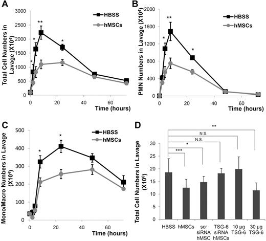 Figure 1. Human MSCs and rhTSG-6 decreased the inflammatory response to zymosan-induced peritonitis. (A) Total cells in the lavage fluid. (B) Polymorphonuclear cells (PMN) in the lavage fluid. (C) Monocytes/macrophages in the lavage fluid. (D) Total cells in the lavage fluid harvested at 4 hours after administration of hMSCs, control hMSCs transfected with a scrambled siRNA (scr), hMSCs transfected with an siRNA for TSG-6, or rhTSG-6. Values are mean ± SD (n = 5 mice per time point; *P < .05; **P < .005; ***P < .0005).