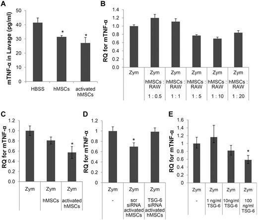 Figure 2. Inhibition of zymosan-induced TNF-α expression in the peritoneum and in cultured macrophages. (A) ELISAs for mTNF-α in lavage fluid. Values are mean ± SD (n = 3; *P < .05). (B) Mouse-specific real-time RT-PCR assays for mTNF-α in macrophages stimulated with zymosan with or without various numbers of hMSCs. Data are expressed as mean and range of 2 values. (C) As in panel B except that the cocultures contained hMSCs (1:10 ratio to macrophages) and the hMSCs were either standard preparations or hMSCs activated to express TSG-6 by incubation with hTNF-α. (D) As in panel C except that the hMSCs were either activated hMSCs transfected with scrambled siRNA (scr) or activated hMSCs transfected with an siRNA for TSG-6. (E) As in panel D except murine macrophages cultured with zymosan with or without TSG-6. Values in panels C, D, and E are mean ± SD (n = 3; *P < .05).