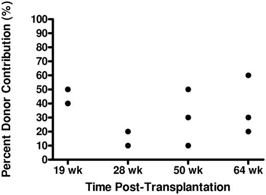 Figure 4. Donor chimerism in peripheral blood of transplanted recipients over time. The graph depicts the contribution of donor DNA to total genomic DNA in unfractionated peripheral blood cells sampled from zebrafish 19, 28, 50, and 64 weeks after transplantation with 103 CD41-GFPlo cells. Each round dot represents data from an individual recipient fish.