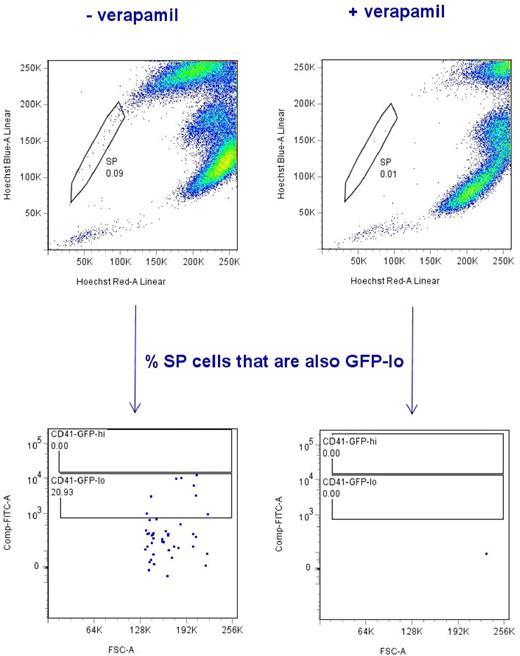 Figure 7. Side population (SP) cells from Tg(CD41:GFP) zebrafish overlaps with CD41-GFPlo subpopulation. The top panel flow cytometric diagrams show typical SP profile derived from lymphocyte and progenitor subsets of CD41-GFP WKM cells after incubation with the Hoechst 33342 dye in presence (on the right) or absence of verapamil (on the left). Vertical axis shows blue Hoechst fluorescence; horizontal axis shows red Hoechst fluorescence. The SP cells are indicated within the gate. The lower 2 panels indicate the percentage of SP cells that are also CD41-GFPlo. Here the vertical axis shows FITC fluorescence; horizontal axis shows forward scatter. Two gates mark CD41-GFPlo and CD41-GFPhi subsets, respectively. The SP cells overlap with CD41-GFPlo by > 20%.