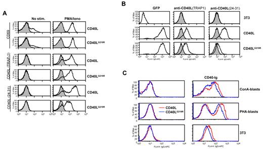 Figure 3. CD40LG219R protein expression. (A) CD40L expression on Con A–expanded T-cell blasts from a healthy control (CD40L) and an individual expressing the CD40LG219R mutant (CD40LG219R). Cells were stimulated or not (No stim.) with phorbol 12-myristate 13-acetate and ionomycin (PMA/Iono) for 6 hours and analyzed by flow cytometry with anti-CD40L TRAP-1 or anti-CD40L 24.31 antibodies. Gray histograms correspond to staining with control immunoglobulin. (B) CD40L expression on wild-type 3T3 cells (3T3) and 3T3 expressing green fluorescent protein (GFP)-CD40L (CD40L) or GFP-CD40LG219R (CD40LG219R). After infection with retroviral plasmids that contained CD40LG219R or wild-type CD40L with a GFP reporter gene, cells were analyzed by flow cytometry for their GFP content (GFP) or for their expression of CD40L with TRAP-1 or 24.31 mAbs. Shaded histograms as in (A). (C) CD40L expression on ConA–, PHA-expanded T-cell blasts and 3T3 cells expressing CD40L or CD40LG219R was detected with CD40-Ig (histograms on right). Histograms on left correspond to staining with control immunoglobulin. The profile of cells expressing CD40LG219R (blue line) was overlaid on the profile of cells expressing CD40L (red line). Max indicates maximum.