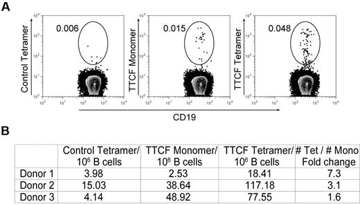 Figure 4. Comparison of monomeric and tetrameric antigen for identification of memory B cells. (A) Mono-biotinylated TTCF or CD80 antigens were directly labeled with the Alexa-488 fluorophore; tetramers were generated with unlabeled streptavidin. Enriched B cells from each donor were split into 3 fractions and stained with control CD80 tetramer, TTCF monomer, or TTCF tetramer at the same total antigen concentration of 0.125 μg/mL. Fluorescence-activated cell sorter plots depict CD19+ CD27+ IgM− class-switched memory B cells; numbers adjacent to the gate represent the percentage of the parental gate. (B) Frequencies of tetramer+ memory B cells detected in 3 different donors. Numbers are calculated as tetramer-positive cells per 1 × 106 CD19+ memory B cells.