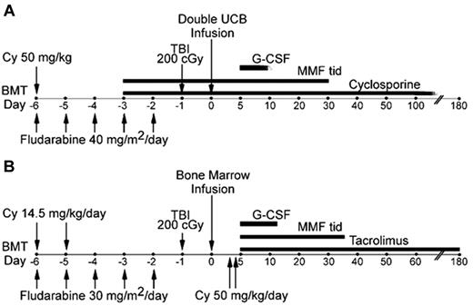 Figure 1. Treatment plans. Treatment schemas for (A) RIC and dUCB transplantation and (B) haplo-marrow transplantation.