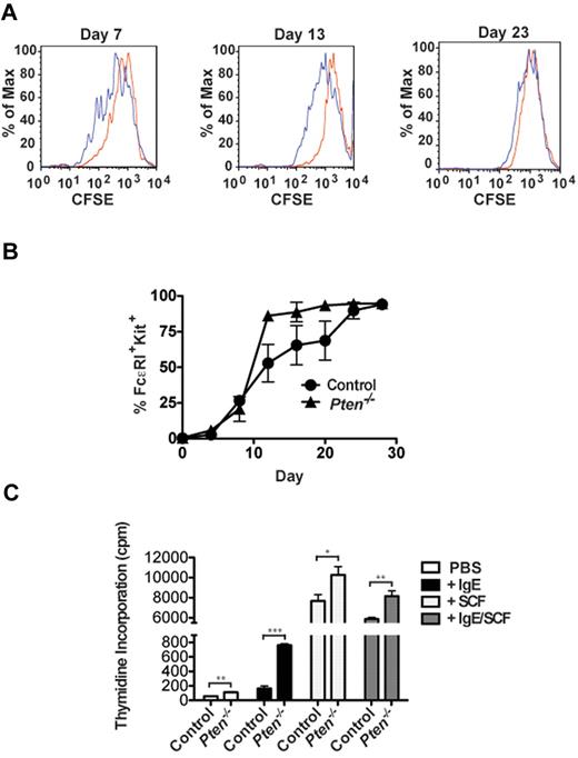 Figure 1. PTEN deficiency enhances BMMC proliferation and differentiation. (A) Bone marrow cells from WT (red) or PTEN-null mice (blue) were stained with CFSE and analyzed for cell division on day 7, day 13, and day 23 of culture. Fluorescence intensity was measured by flow cytometry. One representative of 4 experiments is shown. (B) Percentage of FcϵRI and Kit double-positive cells in bone marrow cell cultures of the indicated genotype over time. Cells (1 × 105 cells) were labeled with PE-MAR-1 (anti-FcϵRI) and APC–anti-Kit. Mean fluorescence intensity was determined by flow cytometry. (C) BMMCs (1 × 104) of the indicated genotypes were incubated with 3H-thymidine (1 mCi) and IgE, SCF, or IgE plus SCF. After 12 hours, the amount of incorporated thymidine was determined. (B-C) A minimum of 4 experiments were conducted.