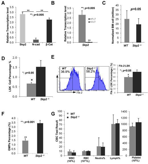 Figure 1. Skp2 regulates stem cell pool size. (A) Analysis of the mRNA level of Skp2, N-Cadherin, and β-catenin in LT-HSCs from WT mice by real-time PCR (**P < .005; n = 4). (B) Analysis of the mRNA level of Skp2 LT-HSCs from WT and Skp2−/− mice by real-time PCR (**P < .005; n = 4). (C) Total numbers of BM cells per mouse from WT and Skp2−/− mice normalized by their body weights were 25.33 ± 6.22 million in WT BM cells versus 19.5 ± 5.49 million in Skp2−/− BM cells (P > .05; n ≥ 4). (D) Analysis of LSK cell population from WT and Skp2−/− mice by flow cytometry. The percentages of LSK cells in WT mice were 0.667% ± 0.058% versus 1.533% ± 0.322% in Skp2−/− mice (*P < .05; n = 3). (E) Analysis of Flk−LSK population in WT and Skp2−/− mice by flow cytometry. The percentages of Flk−LSK cells in WT mice were 39.5% ± 2.65% versus 52.8% ± 5.0% in Skp2−/− mice (*P < .05; n = 3). (F) Analysis of GMP populations in WT and Skp2−/− mice by flow cytometry. The percentages of GMP cells in WT mice were 1.45% ± 0.21% versus 3.43% ± 0.32% in Skp2−/− mice (**P < .001; n = 4). (G) The CBC test was performed to determine the number of WBCs, RBCs, and platelets and the percentage of neutrophils and lymphocytes in WT and Skp2−/− mice (P > .05; n = 5).