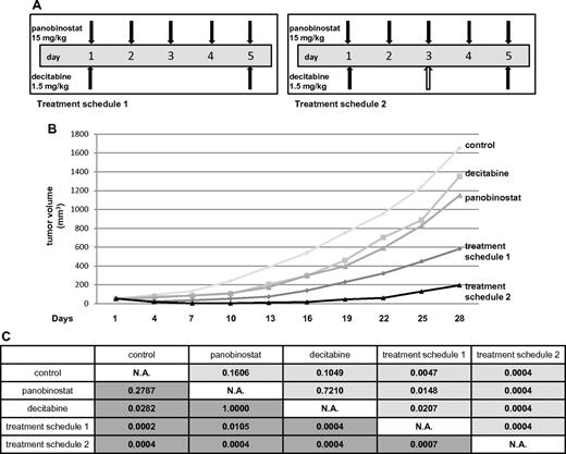 Figure 6. Panobinostat and decitabine synergize in the SCID beige DLBCL xenograft model. (A) Treatment schedules for groups of animals receiving both panobinostat and decitabine. Total decitabine dose in treatment schedule 1 was 3 mg/kg, and in treatment schedule 2 was 4.5 mg/kg. (B) Tumor volumes for treatment cohorts expressed as means. (C) Statistical significance between the groups. The upper right triangle of the table (pale gray) represents P values for actual tumor volumes between the groups; and lower left triangle (dark gray), P values for relative tumor volumes (calculated by dividing the actual volume of the tumor with its volume on the treatment day 1).