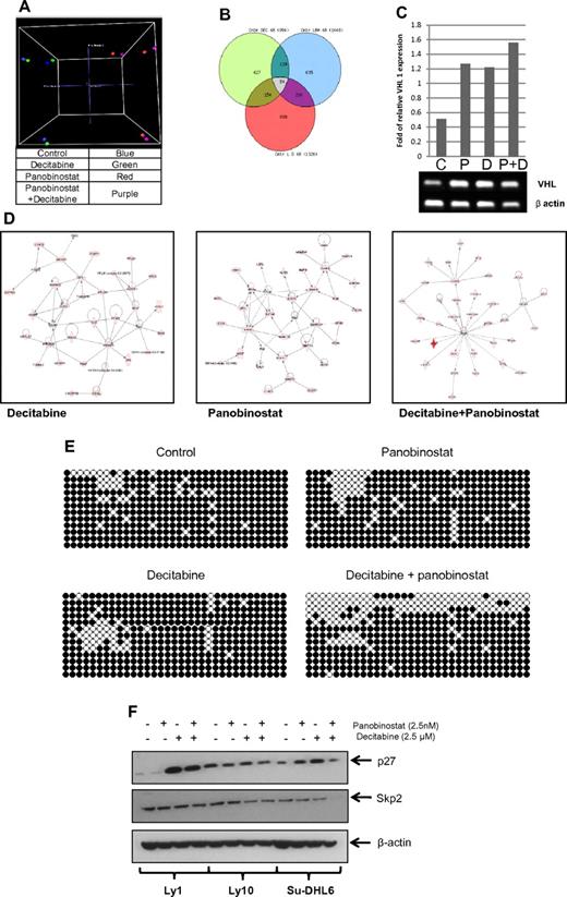 Figure 7. Panobinostat and decitabine affect the expression of distinct sets of genes in DLBCL cell lines. Gene-expression profiling of DLBCL cell lines 48 hours after treatment with decitabine, panobinostat, and the combination of both drugs was performed using Illumina HT-12 arrays. (A) Three-dimensional principal component analysis clusters panobinostat-treated cells distinctly compared with decitabine-treated cells. (B) Venn diagram of the overlap in differentially expressed genes (P < .05) between the 3 treatment groups. (C) Semiquantitative PCR of Su-DHL6 samples treated with decitabine (7.5μM), panobinostat (7.5nM), and their combination after 48 hours showing increase in VHL levels. (D) Top networks enriched by Ingenuity Pathway Analysis by decitabine, panobinostat, and the combination of both drugs. (E) WT1 intron 1 CpG island bisulfite sequencing in Ly10 cell line after treatment with either drug alone or in combination. (F) The effect of epigenetic therapy in 3 DLBCL cell lines on p27 and skp2 levels.