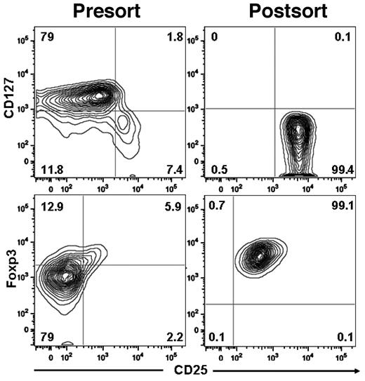 Figure 1. Purification of Tregs from human blood. Tregs were isolated using the CD4+CD25+CD127− Treg isolation kit II magnetic MicroBead method (Miltenyi Biotec). The purity of human Tregs and phenotype expression was analyzed as follows: CD4+ cells were gated and analyzed for surface expression IL-7 receptorα chain (CD127) and IL-2 receptorα chain (CD25) and for intracellular expression of Foxp3.
