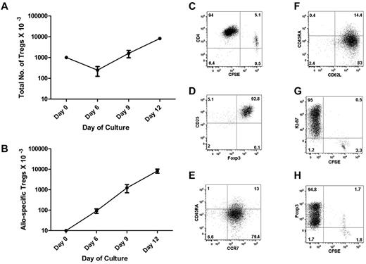 Figure 4. Expansion and characterization of allo-specific Tregs. Tregs were seeded at 1 × 105/well in a 48-well plate with irradiated allogeneic DCs (1 × 104), rapamycin (100 ng/mL), IL-2 (10 U/mL), and IL-15 (10 ng/mL). Cells were cultured for 12 days. (A) The total Treg numbers at each time point were calculated by flow cytometry of timed events. The numbers of starting Tregs were normalized to 1 million at time 0. (B) The diagram outlines the numbers of allo-specific Tregs before and after in vitro expansion, normalized to 10 000 Tregs at time 0. The frequency of allo-specific Tregs at time 0 was calculated by LDA. The frequencies of allo-specific Tregs at subsequent times were calculated by flow microfluorometry of CFSE-labeled Tregs (C). (D-F) Flow cytometry plots showed intracellular expression of Foxp3 and cell-surface expression of CD45RA, CCR7, and CD62L on gated CD4+, CD25+, and CD127− Tregs at the end of culture. Dot plot shows the analysis of CFSE dilution versus Ki-67 nuclear protein (G) or Foxp3 (H) staining in expanded Tregs at the end of culture. We observed a dual level of Foxp3 expression with the BD Biosciences kit (panel H), but not with the eBioscience kit (panel D).