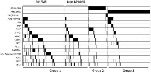 Figure 2. Mutation status of AML1-ETO, PML-RARα, CBFβ-MYH11, FLT3, C-KIT, N-RAS, NPM1, CEBPA, WT1, ASXL1, DNMT3A, MLL, IDH1, IDH2, and TET2. Black shadow indicates mutation cases.