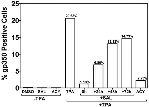 Figure 5. SAL prevents TPA-induced virus production in B95-8 cells. The permissive EBV-positive marmoset B-cell line B95-8 was treated with SAL 0, 24, 48, and 72 hours after TPA treatment or with TPA, ACY, or DMSO alone. Cells were incubated for a total of 5 days after TPA treatment and assayed for gp350 expression, as described in “Methods.”