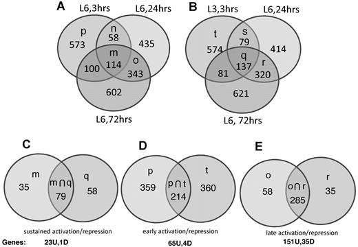 Figure 7. Venn diagram-based clustering method: T3, T24, and T72 hours.
