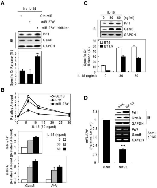 Figure 5. Human miR-27a* serves as a regulator of Prf1 and GzmB protein expression. (A) Basal suppression of GzmB and Prf1 expression by miR-27a* under resting conditions. (Top) IB analysis. (Bottom) Cr release assay at ET5. (B-C) miR-27a* regulates the level of Prf1 and GzmB protein during activation. mNK cells were freshly incubated in the presence of IL-15 (60 ng/mL) after 24-hour deprivation of IL-15. The cells were harvested at the times (0, 6, 12, and 30 hours) indicated relative to treatment of 60 ng/mL IL-15 and analyzed for kinetics of Prf1/GzmB mRNA and miR-27a* (B top). mNK cells were left untreated or treated for 6 hours with various concentrations of IL-15 (0, 30, and 60 ng/mL) after 24-hour deprivation of IL-15. miR-27a* (B middle) and Prf1/GzmB mRNA (B bottom) were analyzed by real-time qPCR. Concurrently, the mNK cells were subjected to IB analysis (C top) and Cr release assay (C bottom). (D) High expression of Prf1 and GzmB protein in NK-92 is because of low level of endogenous miR-27a*. (Top) IB analysis. (Middle) Semi-qPCR analysis. (Bottom) Real-time qPCR. Data are representative of 3 independent experiments (mean ± SEM of triplicates; Student t test, ***P < .001 vs Ctrl_miR.