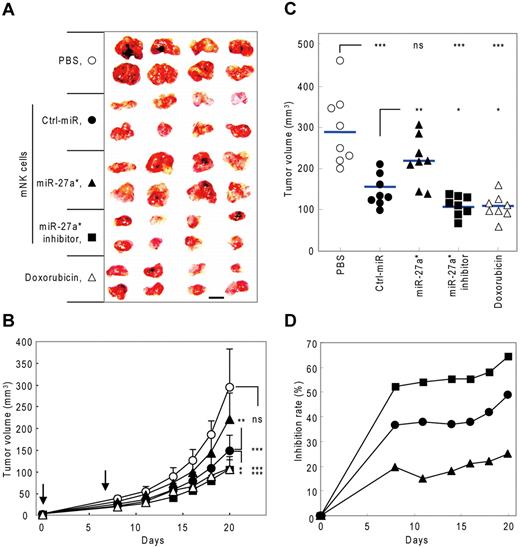 Figure 7. Manipulation of NK-cell cytotoxicity by miR-27a* in human tumor xenograft model. (A-C) Tumor growth changes in nude mice bearing human tumor xenografts after treatment of modified mNK cells. (A) At the end of experiment (day 20), tumors were removed and photographed. Scale bar represents 1 cm. Tumor volume changes were measured until day 20 (days 0, 8, 11, 14, 16, 18, and 20). (B) Downward arrows indicate that mice were treated with mNK cells at that time point (days 0 and 7). (C) Scatter plots showing tumor volume of individual mice at day 20. Horizontal lines indicate average of tumor volume of each mouse (n = 8). (D) Time course of inhibition rate (vs PBS-treated group) of tumor volume by treatment with manipulated mNK cells. Tumor volumes were measured using a caliper and estimated by the formula: length (mm) × width (mm) × height (mm)/2. The tumor growth inhibition rate was calculated using the following equation: % inhibition = 100% − (tumor volume of test group/tumor volume of PBS group) × 100% (Mann-Whitney rank sum test, ns, P > .05, *P < .05, **P < .01, and ***P < .001 vs vehicle PBS or Ctrl-miR).