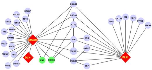 Figure 6. PPI network for the FLI1-SMAD4 axis. Fli1 interacts with 2 subsets of proteins: 1 group lacks interaction with SMAD4 and the other has PPI with SMAD4 through 1 or 2 intermediaries. Proteins not studied on the RPPA are in blue, those with positive correlation are in red, and those with negative correlation are in green. Edges between components that did not interact with FLI1 and SMAD4 have been removed for clarity.