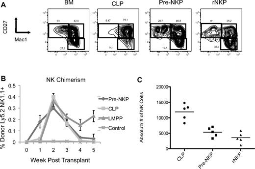 Figure 4. Pre-NKP and rNKP in vivo–derived NK cells are phenotypically mature and give rise to NK cells on transplantation faster than CLP or LMPP. (A) CD45.1 unfractionated BM, CLP, pre-NKP, and rNKP were transplanted into unconditioned congenic CD45.2 Rag2−/−IL2rγc−/− recipients. Spleens 3 weeks after transplantation were isolated and analyzed by flow cytometry for mature NK cell markers CD27 and Mac1. Each progenitor type was injected into 5 individual mice per experiment. Data are representative of 1 of 2 experiments. (B) Ly5.2+ progenitors where transplanted into unconditioned Ly5.1+ DKO mice. Mice where bled every week and analyzed by flow cytometry for donor NK cell reconstitution. Pre-NKP gave rise to NK cells as early as 1 week and were exhausted after 3 weeks. CLP gave rise to few, but detectable NK cells at 1 week and also became exhausted by 4 weeks. We observed no NK cells at 1 week in the LMPP transplants, but by 2 weeks they where comparable to both pre-NKP and CLP. Each progenitor type was injected into 5 individual mice per experiment. Data are representative of 1 of 2 experiments. (C) Absolute number of donor-derived NK cells from the spleens of mice transplanted with different progenitors. Data are representative of 1 of 2 experiments.