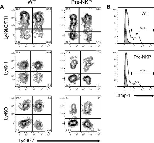 Figure 5. Pre-NKP–derived NK cells have mature functional phenotype. (A) Pre-NKP–derived splenic NK cells express diverse combinations of Ly49 receptors. Wild-type NK cells and donor NKp46+ cells from pre-NKP transplanted Rag2−/−IL2rγc−/− mice were stained with a panel of anti-Ly49 family antibodies. Data represents 1 of 2 experiments. (B) Pre-NKP–derived NK cells degranulate on activation. Wild-type NK cells and NKp46+ cells derived in vivo from pre-NKP were isolated and stimulated with plate bound anti-NK1.1 for 4 hours in the presence of lysosomal-associated membrane protein 1 (Lamp-1) antibody. Data are representative of 2 independent experiments.