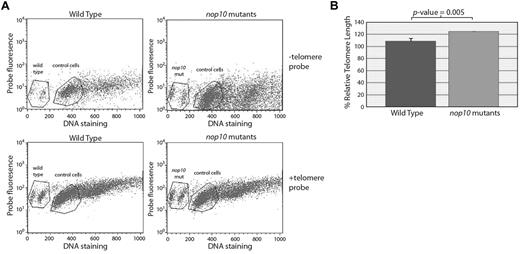 Figure 2. Loss of nop10 results in no detectable telomere shortening. (A) No evidence of a shift difference is detectable in wild-type versus nop10 mutant cells at 4 dpf on hybridization of a telomere-specific probe. Gated cells represent those in G0/1. (B) Quantification of panel A, calculating the percentage relative telomere length compared with control cells.