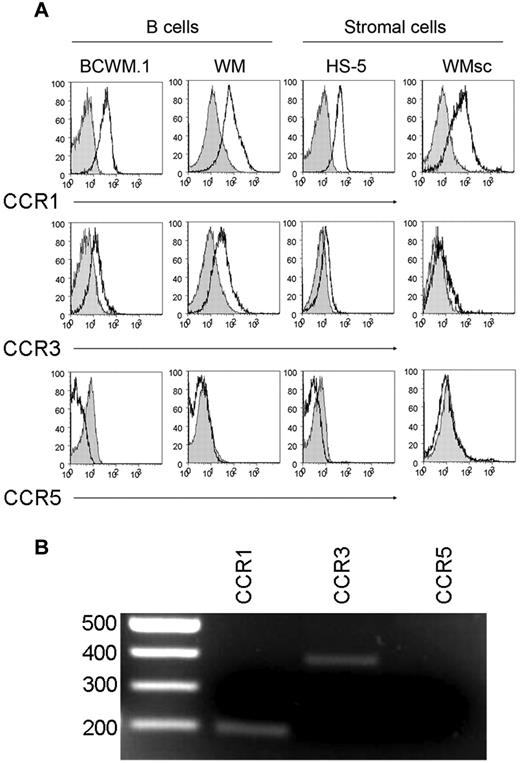 Figure 3. CCL5 receptors expressed on WM tumor cells. (A) CCL5 receptor expression (CCR1, CCR3, and CCR5) was determined by FACS analysis on BCWM.1 cells, CD19+CD138+ cells from WM patients, HS-5 cells; and primary stromal cells from WM patient by staining cells with anti-CCR1, anti-CCR3, or anti-CCR5 antibodies (white histograms); and the appropriate isotype controls (gray histograms) followed by flow cytometry analysis as described in “Methods.” This experiment was repeated 3 times with similar results. Representative histograms are shown. (B) Differential expression of mRNA in WM stromal cells. Total RNA was isolated from sorted cells and reverse transcribed. cDNA was amplified by primers for CCR1, CCR3, and CCR5. Shown is a gel from one representative donor. The expected sizes for the amplified products of CCR1, CCR3, and CCR5 are 201, 396, and 459 bp, respectively.