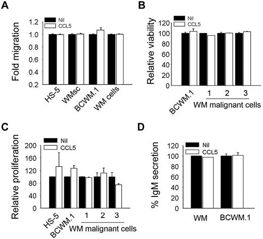 Figure 4. CCL5 has no effect on cell migration, survival, and proliferation. (A) Migration ability of BCWM.1, HS-5, WMsc, and CD19+CD138+ from WM patient cells (WM cells) in response to CCL5 (500 ng/mL). Data represent fold-increased migration compared with either media alone or CCL5 as described. (B) Effect of CCL5 (500 ng/mL) on the viability of BCWM.1, HS-5, and CD19+CD138+ cells from WM patients (n = 3). Data represent cell viability in the presence of CCL5 compared with the media alone. (C) Effect of CCL5 on the proliferation of serum starved BCWM.1, HS-5, and CD19+CD138+ cells from WM patients (n = 3). Cell proliferation was assessed using thymidine incorporation and is presented as relative proliferation compared with cells cultured in the presence of media alone. (D) IgM secretion by BCWM.1 or CD19+CD138+ cells from WM patient cultured in the presence or absence of CCL5 (500 ng/mL). Values represent mean of duplicate values ± SEM.