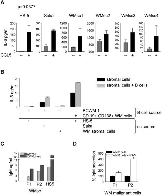 Figure 6. CCL5 induces IL-6 secretion. (A) HS-5 (0.01 × 106 cells/well), Saka and stromal cells generated from WM patients (WMsc1-WMsc4; 0.1 × 106 cells/well) were serum starved overnight and then cultured in the presence or absence of 500 ng/mL Rantes/CCL5 for 24 hours and IL-6 levels were determined in the culture supernatant by ELISA. (B) IL-6 secretion in coculture wells of stromal cells (0.1 × 106 cells/well) and BCWM.1 or CD19+CD138+ cells from WM patients (0.5 × 106 cells/well). Cells were serum starved overnight and then cocultured for 2 days, then supernatants were harvested and used to quantitate IL-6 levels by ELISA. (C) IgM secretion in coculture wells of HS-5 stromal cells or WMsc (P1 and P2; 0.1 × 106 cells/well) and BCWM.1 (0.5 × 106 cells/well) or (D) HS-5 cells cocultured with CD19+CD138+ cells from WM patients (P1 and P2). Cells were serum starved overnight and then cocultured for 2 days then supernatants were harvested and used to quantitate IgM levels by ELISA.