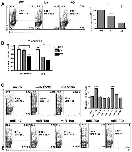 Figure 2. miR-19b is indispensible for IFNγ production from differentiated Th1 cells. (A-B) CD4+CD25− T cells were sorted from LNs and spleens of WT, f/+, and KO littermates, activated by anti–CD3/CD28 Abs under Th1-skewing conditions for 4 days with 50 ng/mL of recombinant mouse IL-12 (Peprotech), 10 μg/mL of purified anti–IL-4 (11B11), and 50 U/mL of recombinant mouse IL-2 (Peprotech). (A) The percentage of viable cells producing IFN-γ and the mean florescence intensity (MFI) of IFN-γ were determined by intracellular staining after 4 hours of stimulation with 0.9nM PMA and 0.5 μg/mL of ionomycin (Sigma-Aldrich) in the presence of 5 μg/mL of brefeldin A (Sigma-Aldrich) and 2μM monensin (eBioscience). The Abs used were anti–IFNγ-APC (BioLegend) and anti–IL-4-PE (BD). The bar graph summarizes the means ± SEM from 3 independent experiments. (B) The mRNA levels of T-bet and IFN-γ from CD4+ T cells differentiated under the Th1-skewing conditions were quantified by qPCR. Data were normalized to a reference gene, SDHA, and are shown as relative to WT. The bar graph shows means ± SEM from 3 independent experiments. (C) As described in Figure 1E, CD4+CD25− conventional T cells of KO mice were primed and transduced with retrovirus encoding individual miRNAs within the miR-17-92 cluster, and then cultured under the Th1-skewing condition for 4 days. The percentages of IFN-γ- or IL-4–producing cells and the MFI of IFN-γ signal were measured by intracellular cytokine staining. Left: representative FACS plot; right: means ± SEM from 3 independent experiments. Statistical analysis was done by comparison with mock. ***P < .001.